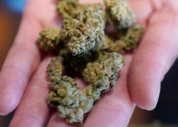 Twitter relaxes pot ad rules to lure in more advertisers