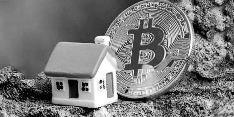 Home loans using crypto as collateral: Do the risks outweigh the reward?