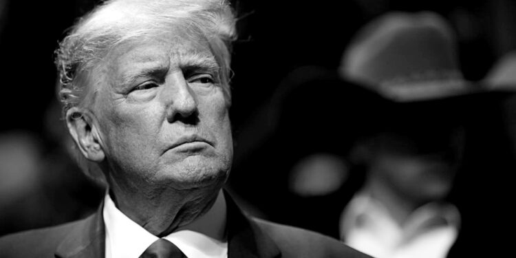 Trump looks like he might be back to his old, 2016 self