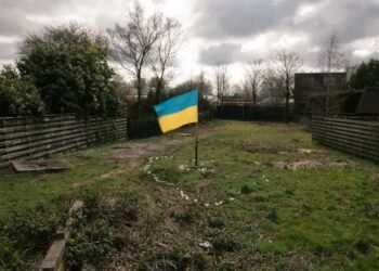 Dutch prosecutors seize land owned by Vladimir Putin’s former son-in-law