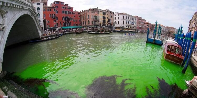 Venice canal patch turns fluorescent green