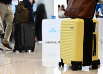 In the bag! Why the humble suitcase is this year’s fashion must-have