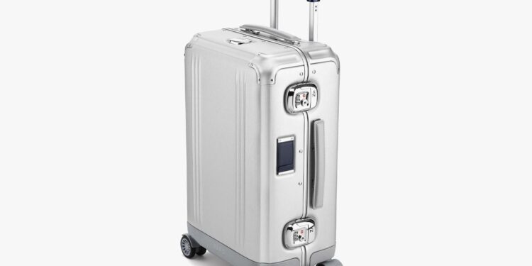 Airline hand luggage fees could be banned