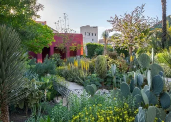 Marvellous Marrakech