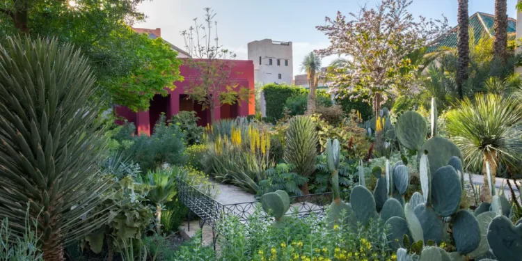 Marvellous Marrakech