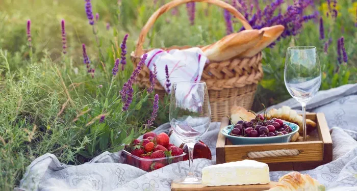 Lose your bottle: wines to pack for picnics
