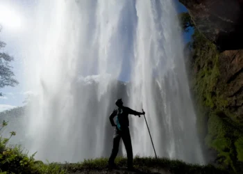 The wild beauty of Panama