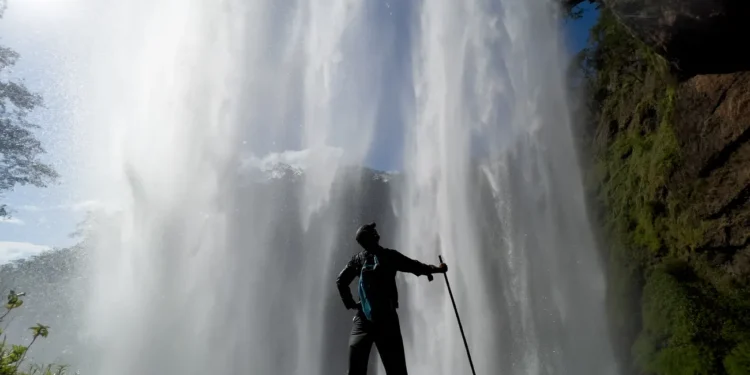 The wild beauty of Panama