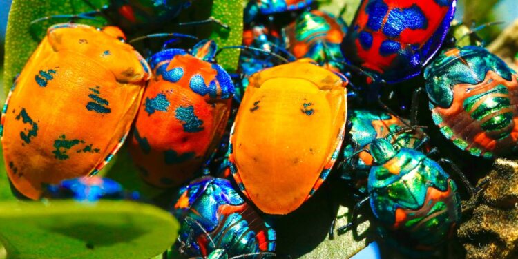 Developers using AI help often produce buggier code