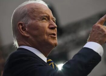 Seven AI companies agree to safeguards in the US