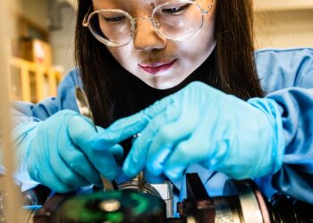 Researchers uncover energy flows in organic solar cells