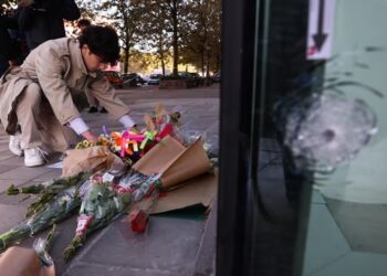 Tötung zweier schwedischer Fußballfans in Brüssel durch „wahrscheinlich einsamen Wolfsangriff“.