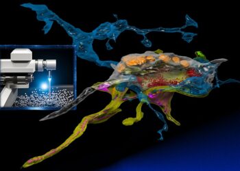 Einsatz von KI zur Optimierung einer schnellen neuronalen Bildgebung