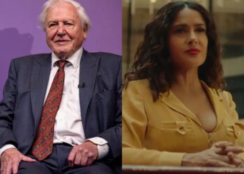 This video of David Attenborough narrating a programmer’s life shows Hollywood actors were right to be afraid of AI