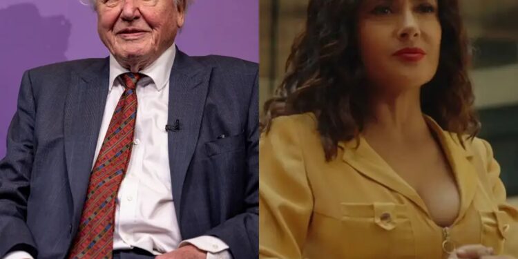 This video of David Attenborough narrating a programmer’s life shows Hollywood actors were right to be afraid of AI