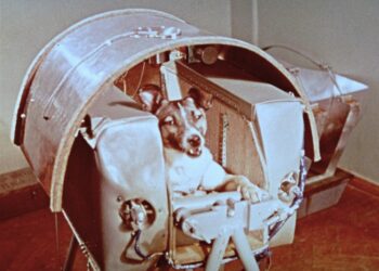 On this day in 1957: The Soviet Union launched Sputnik 2, which carried the dog Laika