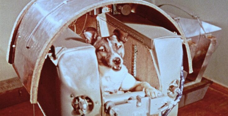 On this day in 1957: The Soviet Union launched Sputnik 2, which carried the dog Laika