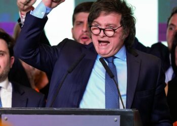 Der Löwe, die Perücke und der Krieger. Wer ist Javier Milei, Argentiniens gewählter Präsident?