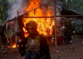 Brazil cracks down on illegal gold miners