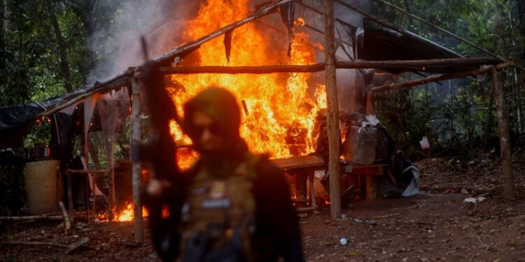 Brazil cracks down on illegal gold miners