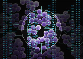 Using AI, MIT researchers identify a new class of antibiotic candidates