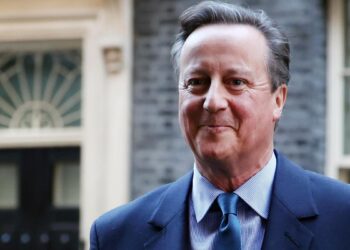 David Cameron says Aukus and Nato must be in ‘best possible shape’ ahead of potential Trump win