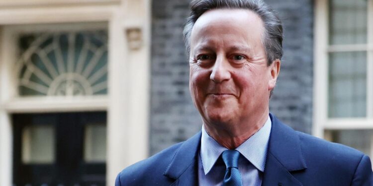 David Cameron says Aukus and Nato must be in ‘best possible shape’ ahead of potential Trump win