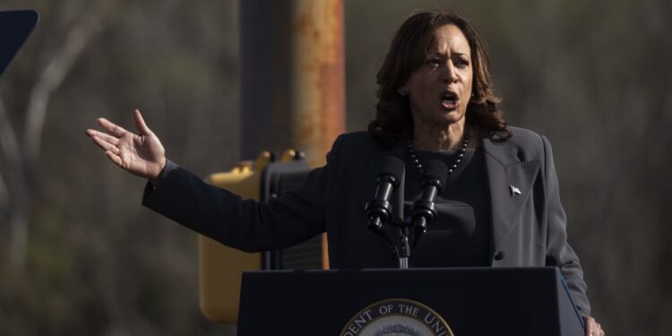 Kamala Harris issues sharp rebuke of Israel over ‘humanitarian catastrophe’ in Gaza