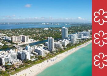 Michelin Guide unveils Florida selection for 2024