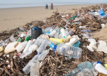 Survey finds that 60 firms are responsible for half of world’s plastic pollution