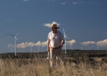 In the largest windfarm in the southern hemisphere, ‘renewable energy farmers’ look to the future