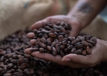 Cocoa prices are soaring. Candy makers will need to get creative