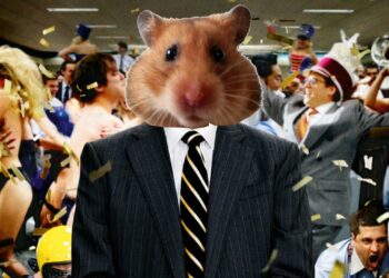 ‘Hamster’ crypto craze has taken Iran. It highlights economic malaise ahead of the presidential election