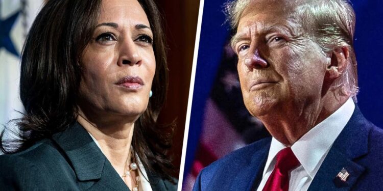 Where do Trump and Harris stand on cryptocurrency?