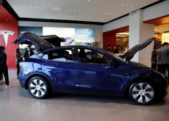 Tesla cars for the first time on the Chinese government purchase list
