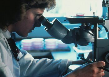 Paige and Microsoft unveil next-gen AI models for cancer diagnosis