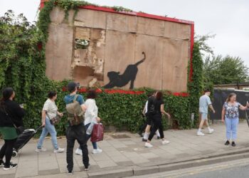 Exclusive: secretive artist trying to raise a smile with pelicans, elephants, monkeys, wolf, goat and cat