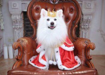 Google’s Gemini 1.5 Pro dethrones GPT-4o