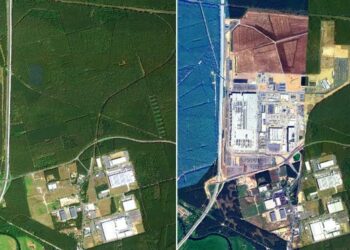 About 500,000 trees were cut down at the site of the Tesla gigafactory near Berlin