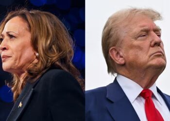 Democrats worried about polls undercounting Donald Trump’s support