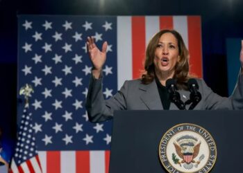 Candidate Harris unlikely to make full-throated crypto policy before election