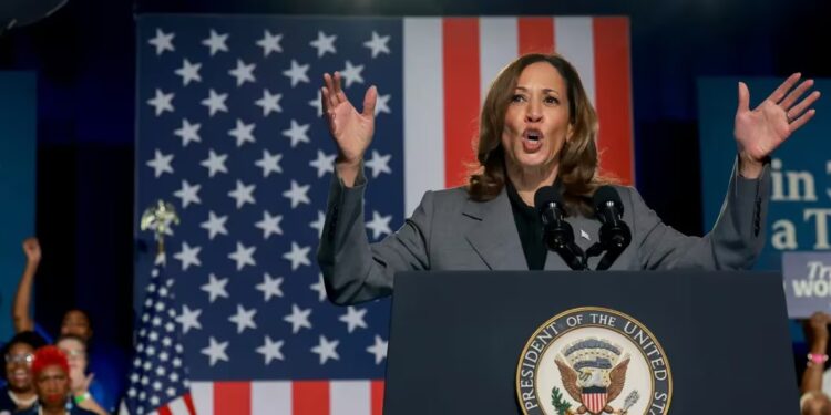 Candidate Harris unlikely to make full-throated crypto policy before election