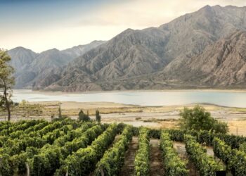 Three superb sémillons from the southern hemisphere