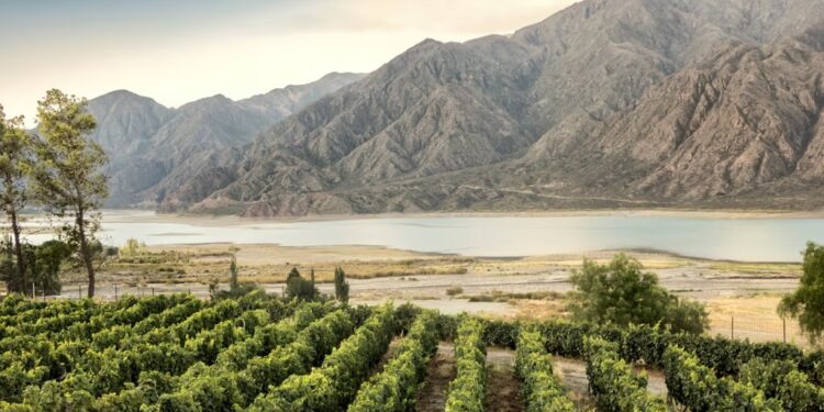 Three superb sémillons from the southern hemisphere