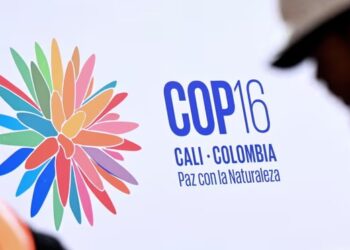 About 80% of countries fail to submit plans to preserve nature ahead of global summit