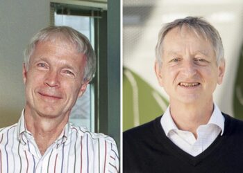 Nobel physics prize 2024 won by AI pioneers John Hopfield and Geoffrey Hinton
