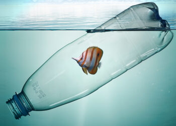 Nations meet in final round to address global plastic crisis