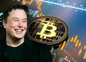 Has Elon Musk’s BTC value doubled to 2 billion USD since Trump became President-Elect?
