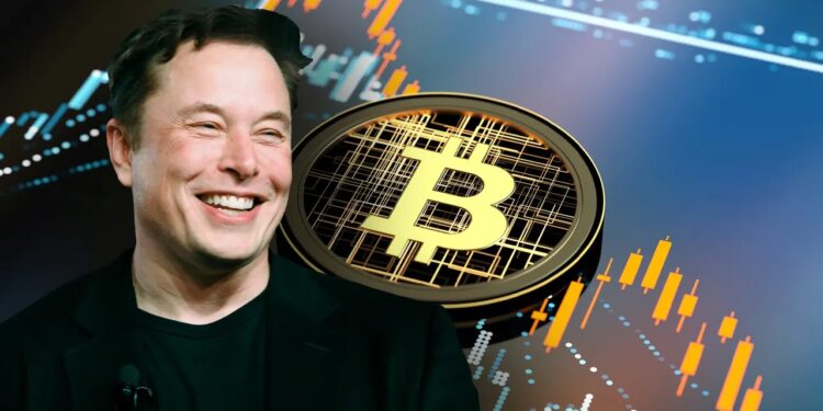 Has Elon Musk’s BTC value doubled to 2 billion USD since Trump became President-Elect?