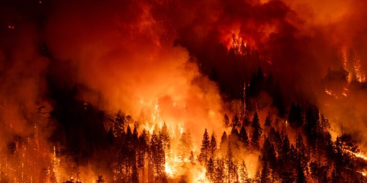 Climate crisis deepens with 2024 ‘certain’ to be hottest year on record